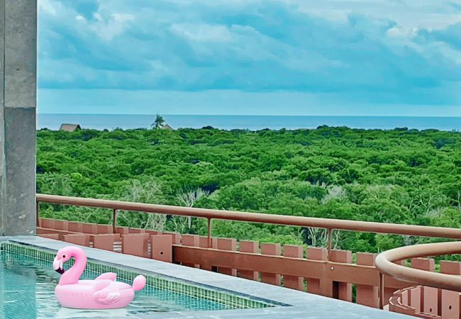 Apartment in Tulum - Amira District PH 304 A