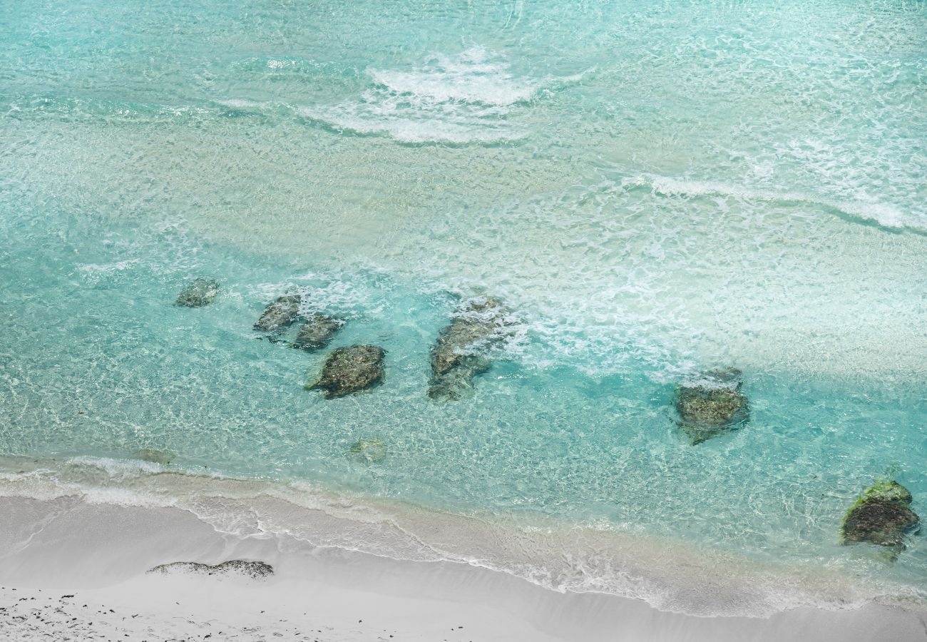 Apartment in Cancun - SALVIA 803B